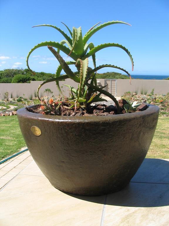 Bella Vista Onrus Villa Hermanus Eksteriør bilde